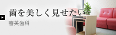 審美歯科